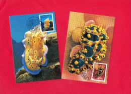 2 Cartes En 1° Jour Du 25/4/1990  (( Aquarium De Nouméa )) - Maximumkaarten