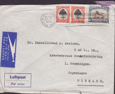 South Africa Par Avion By Airmail Per Lugpos Label ROYAL DANISH LEGATION, KAPSTAD Capetown 1950 Cover Brief (2 Scans) - Luchtpost