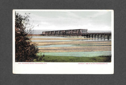 Rio Grande Bridge Albuquerque New Mexico Phostint 1910c Postcard - Detroit Photographic Co. - Albuquerque