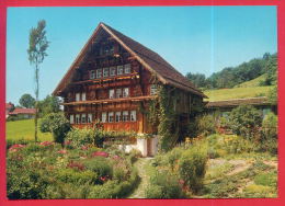 162218 / EBNAT-KAPPEL - Toggenburger Haus, Haus Edelmann, Im Acker In Ebnat MUSEUM MUSIC INSTRUMENTE Switzerland Suisse - Ebnat-Kappel