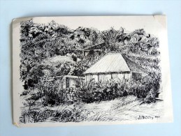 Carte Postale : SAINT-BARTHELEMY : Maison "Cul De Sac", Dessin Daniela Spiazzi - Saint Barthelemy