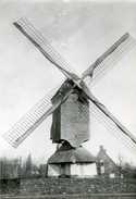 VREMDE Bij Boechout (Antw.) - Molen/Mühle/moulin/mill - Verdwenen Reigermolen, Hier Nog In Goede Staat (ca. 1920) - Boechout