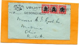 South Africa Old Cover Mailed - Lettres & Documents