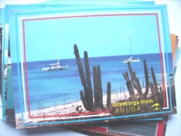 Aruba With Cactus And Boats - Aruba