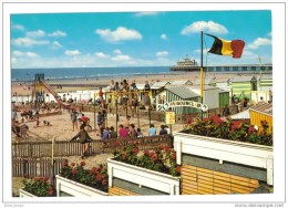 Blankenberge Pingouinclub - Blankenberge