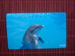 Dolphin Phonecard Used - Delfines