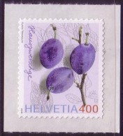 2006 Quetsches Hauszwetscheg 1912 ** - Unused Stamps