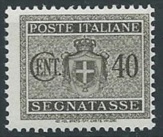 1945 LUOGOTENENZA SEGNATASSE 40 CENT NO FILIGRANA MNH ** - T70 - Portomarken