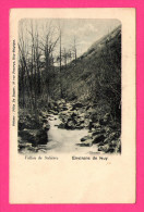 Environs De Huy - Vallon De Solières - FELIX DE RUYTER - Précurseur 1902 - Hoei