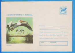 BIRD BIRDS PELICANS, POSTAL STATIONERY ROMANIA 1977 - Pélicans