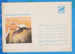 BIRD BIRDS EGRET, POSTAL STATIONERY ROMANIA 1977 - Storchenvögel