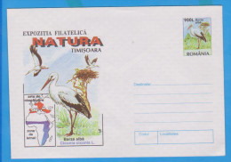 BIRD BIRDS STORK CICONIA CICONIA, POSTAL STATIONERY ROMANIA 1998 - Cigognes & échassiers