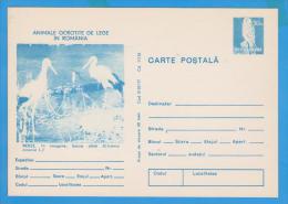 BIRD BIRDS STORK CICONIA CICONIA, POSTAL STATIONERY ROMANIA 1977 - Cigognes & échassiers