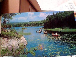 USA MINNESOTA MARVELOUS SILENT CANOEING BWCA LAKES   VB1980  ER14053 - Autres & Non Classés