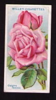Petite Image (trade Card) Will´s Cigarettes, Bristol, Londres, Série « Roses », N*4, Caroline Testout - Wills