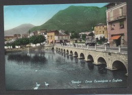 8703-VENAFRO(ISERNIA)-CORSO LUCENTEFORTE-FG - Isernia