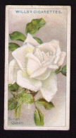 Petite Image (trade Card) Will´s Cigarettes, Bristol, Londres, Série « Roses », N*2, British Queen - Wills