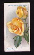 Petite Image (trade Card) Will´s Cigarettes, Bristol, Londres, Série « Roses », N*30, Mabel Morse - Wills