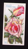 Petite Image (trade Card) Will´s Cigarettes, Bristol, Londres, Série « Roses », N*27, Lady Pirrie - Wills