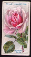 Petite Image (trade Card) Will´s Cigarettes, Bristol, Londres, Série « Roses », N*22, Lady Alice Stanley - Wills