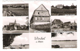 Deutschland -  Winkel Am Rhein - Rheingau - Oestrich-Winkel