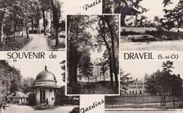 DRAVEIL -  Paris Jardins - Souvenir De ....... - Draveil