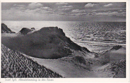 AK Insel Sylt - Abendstimmung In Den Dünen - 1956 (12149) - Sylt