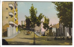 CPSM TIARET (Algérie) - Boulevard Clemenceau Et Rue Albert Soler - Tiaret