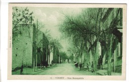 CPSM TIARET (Algérie) - Rue Beaupetre - Tiaret