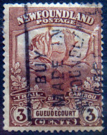 NEWFOUNDLAND 1919 3c Caribou Used - 1908-1947