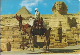 EG.- Giza. The Sphinx And Mykerinos Pyramid. Pyramide. Gizeh. Kameel. Egypte. Egypt. - Gizeh