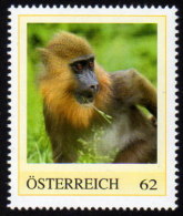 ÖSTERREICH 2011 ** Affe - Mandrill / Mandrillus Sphinx - PM Personalized Stamp MNH - Personalisierte Briefmarken