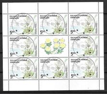 Groënland 2004 Bloc De 9 Oblitéré Avec Vignette Centrale Du N° 395 Flore - Used Stamps