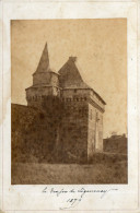 SIGOURNAIS (85) Photographie Ancienne Vue Du Donjon 1879 - Andere & Zonder Classificatie