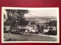 38 Isere DIEMOZ Vue Sur Le Village - Diémoz