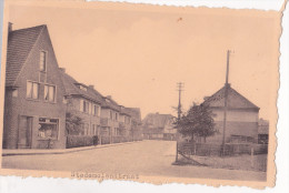 TIELT / THIELT : Stedemolenstraat - Tielt