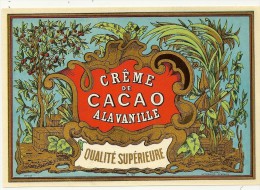 CREME DE CACAO - Alcoholes