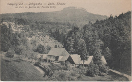 AK Krippengrund Gasthaus Rölligmühle Sächsische Schweiz Krippen Bei Kleingiesshübel Schöna Reinhardtsdorf Bad Schandau - Kleinhennersdorf