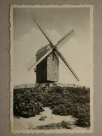 Delcampe - Koksijde, De Oude Molen - Koksijde