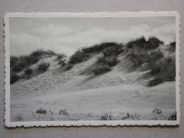 Delcampe - Koksijde, Wandelpad Doorheen De Duinen - Koksijde