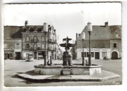 CPSM HENRICHEMONT (Cher) - La Fontaine - Henrichemont