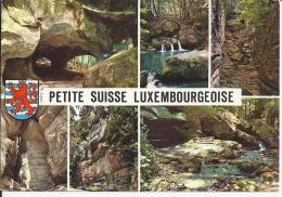 Petite Suisse Luxembourgeoise - Müllerthal