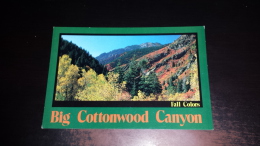 C-28778 BIG COTTONWOOD CANYON FALL COLORS - Bryce Canyon