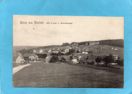 OBERHOF -GRUSS- Vue D'ensemble-a Voyagé En1906 - Oberhof