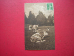 CPA  SUISSE   VACHES     VOYAGEE 1912   TIMBRE SUISSE  CACHET LIGNIERES - Lignières