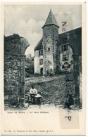 - Salies-de-Béarn - Le Vieux Château, Artisan Dans L'entrée ?, Super état, Précurseur, Non écrite, TBE, Scans. - Salies De Bearn