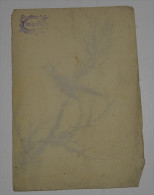 De La Collection Cyrill Riedel Sur Papier 80 Grs, Datée Vers 1890, Format 18x26 - Pasteles