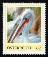 ÖSTERREICH 2011 ** Pelikan, Pelecanus Crispus - PM Personalized Stamp MNH - Pélicans