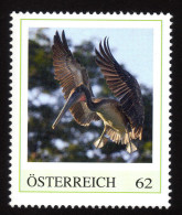 ÖSTERREICH 2013 ** Braunpelikan, Pelecanus Occidentalis - PM Personalized Stamp MNH - Pelicans