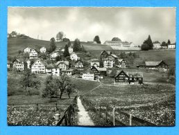 Q413, Speicher, Kurhaus Beutler, GF,  Circulée 1960 - Speicher